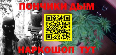 молекула духа Шелехов