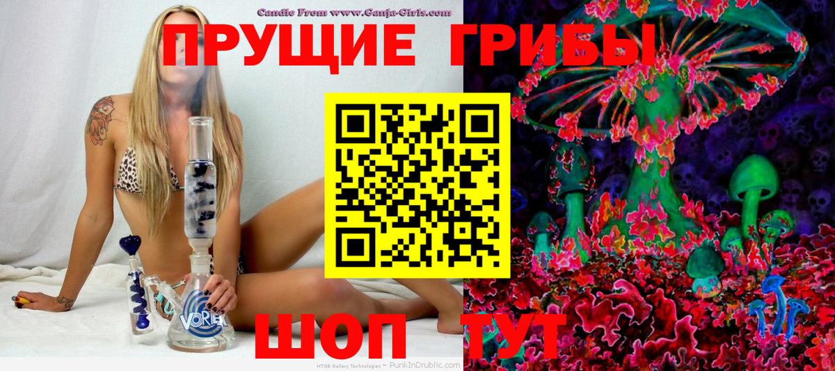 Псилоцибиновые грибы прущие грибы Вязники