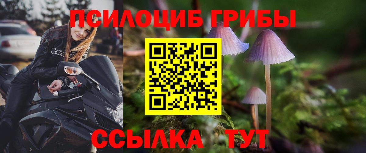 Вязники  Псилоцибиновые грибы ЛСД  Вход с VPN  Псилоцибиновые грибы ЛСД 